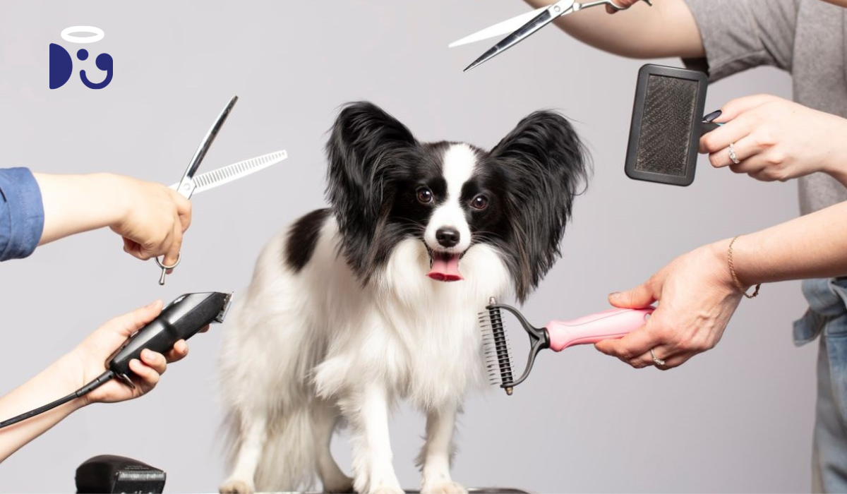 What is Dog Grooming A Step By Step Guide to Grooming Your Dog