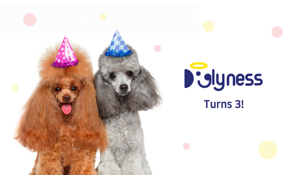 Three Years of Doglyness: A Journey of Passion, Purpose, and Growth
