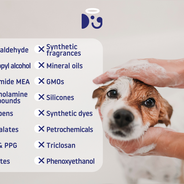 Dog shampoos top to avoid