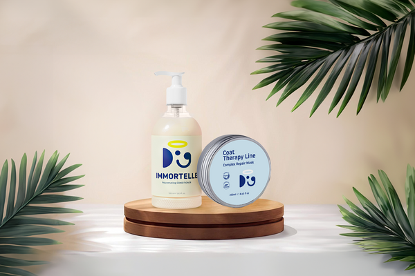 Doglyness Immortelle Rejuvenating Conditioner and Complex Repair Coat Mask displayed on a wooden pedestal with tropical leaves and soft lighting in the background.