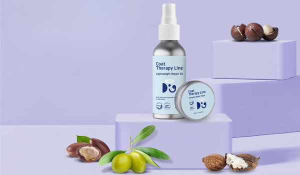 Introducing Doglyness's Revolutionary Coat Therapy Line
