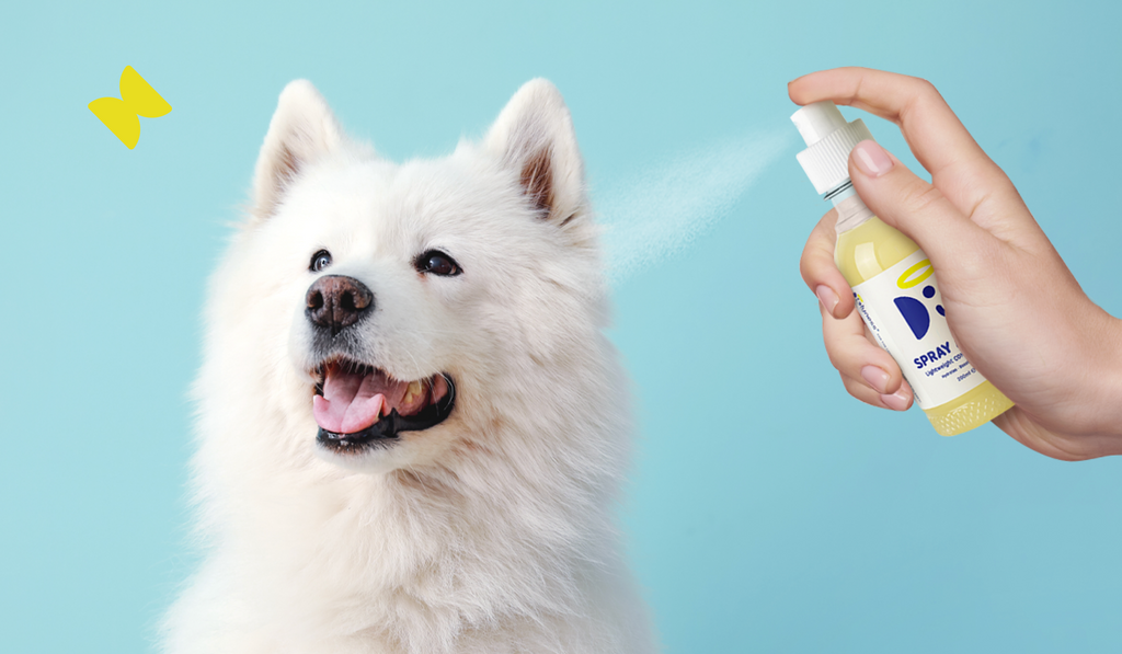 The pup life sales refreshing dog spray