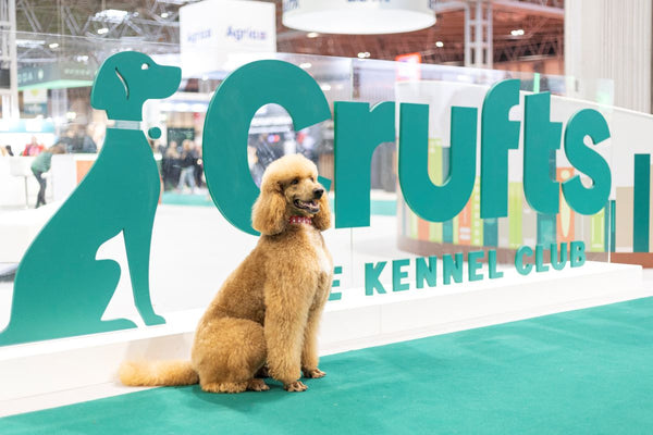 Inside Crufts 2025: Celebrating the Groomers and Educators Who Joined Us at the Doglyness Booth