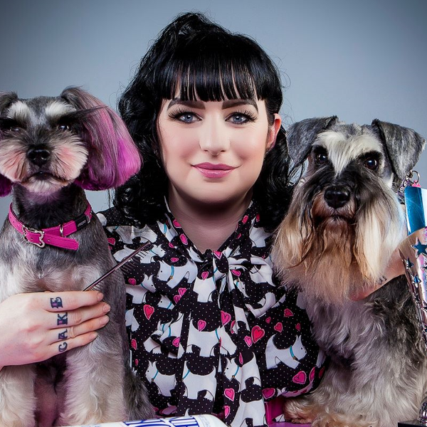 Lisa's hot sale miniature schnauzers