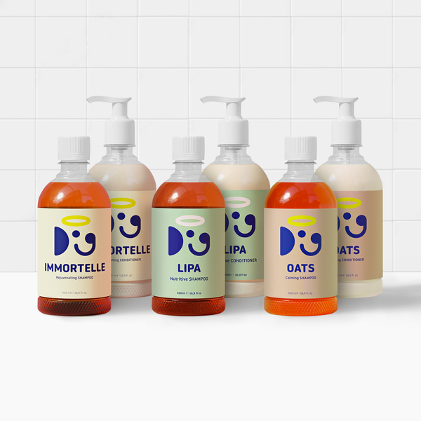 COAT CARE MASTERY SET | Unleash the Power of Doglyness