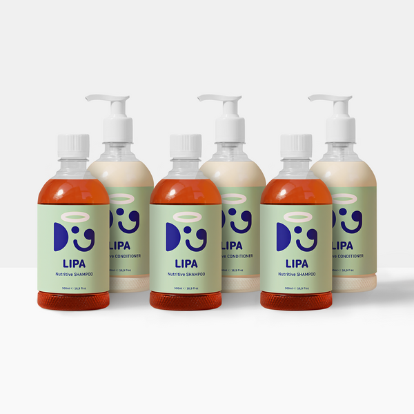 LIPA LOVE VALUE SET | Naturally Nourish, Repair, and Transform Coats | Doglyness