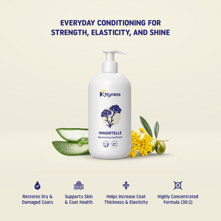IMMORTELLE REJUVENATING CONDITIONER | Luxury Dog Conditioner for