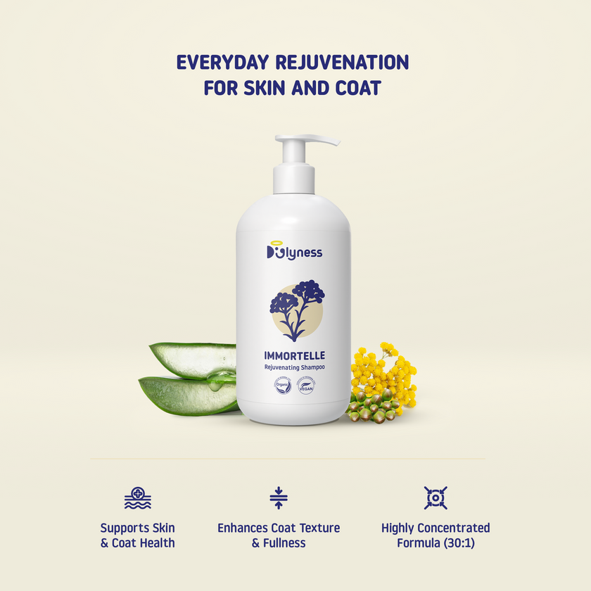 IMMORTELLE REJUVENATING SHAMPOO | Our Iconic First Shampoo