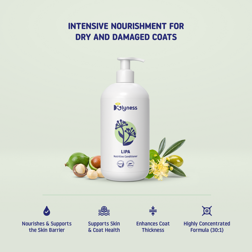 Lipa Nutritive Conditioner | Deep Botanical Conditioning