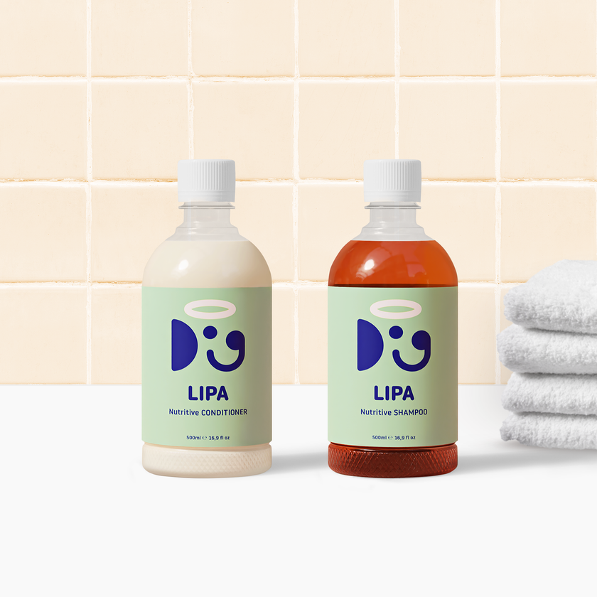 COYTA CARE 9 SHAMPOO 5ℓ 【公式通販】 COYTA CARE 9 SHAMPOO 5ℓ 【公式通販】