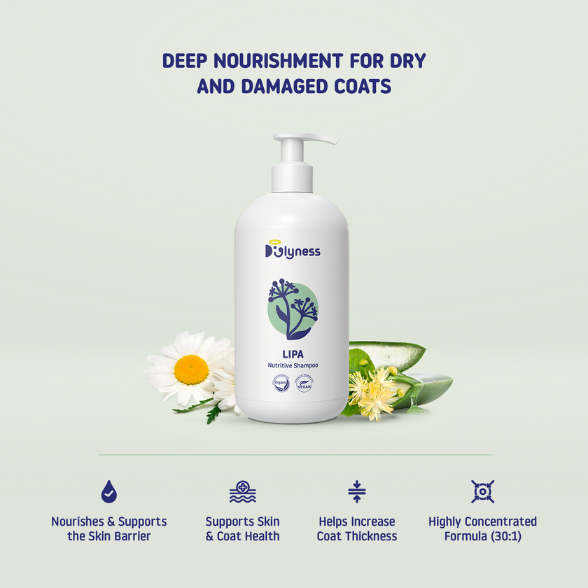 Lipa Nutritive Shampoo | Deep Botanical Nourishment | Doglyness