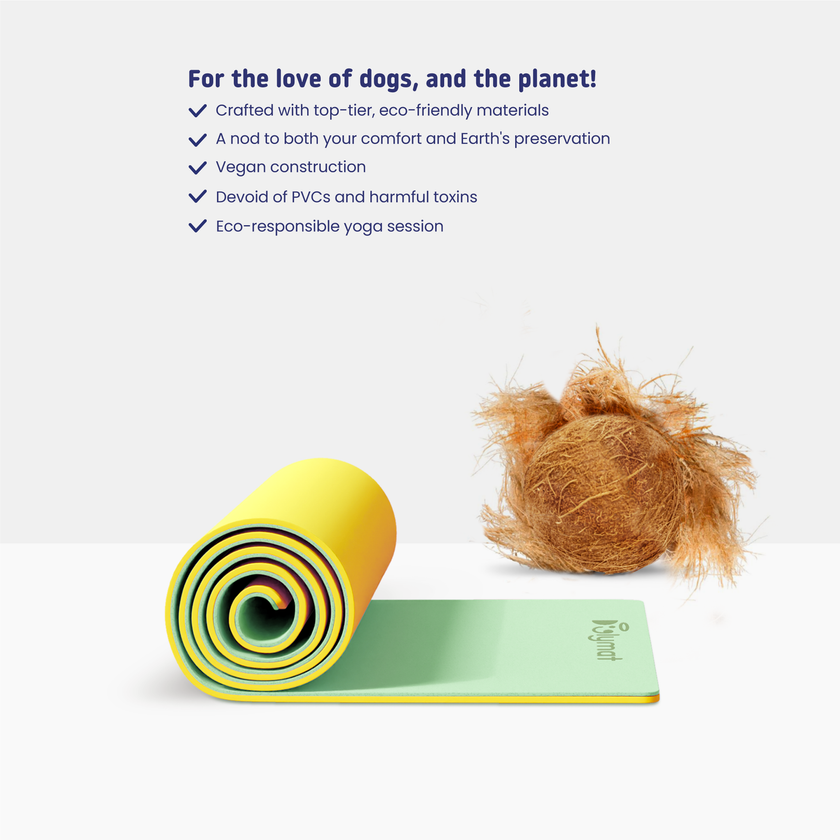 Doglymat™ Yoga Mat: A blend of comfort, safety, and eco