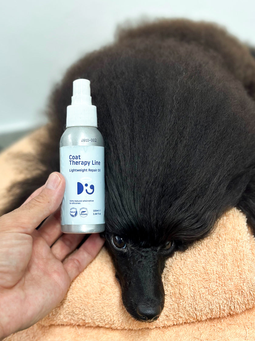LIGHTWEIGHT REPAIR OIL | 100% Natural Alternative to Silicones